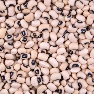 Cowpea